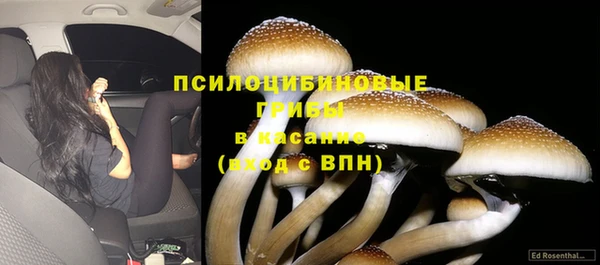 первитин Надым