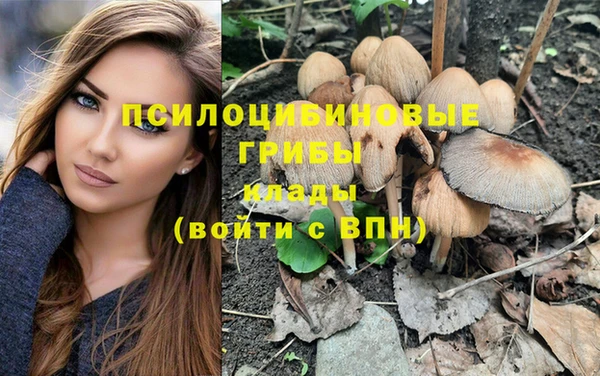 шишки Белоозёрский