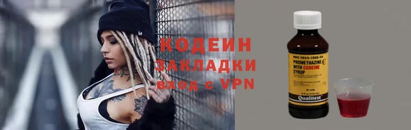 шишки Белоозёрский