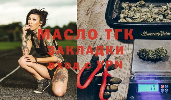 шишки Белоозёрский