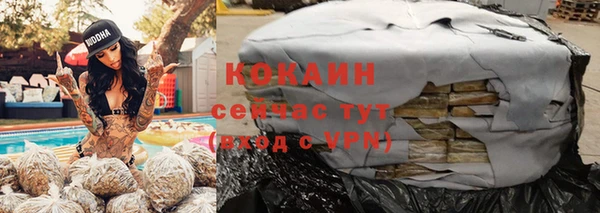 шишки Белоозёрский