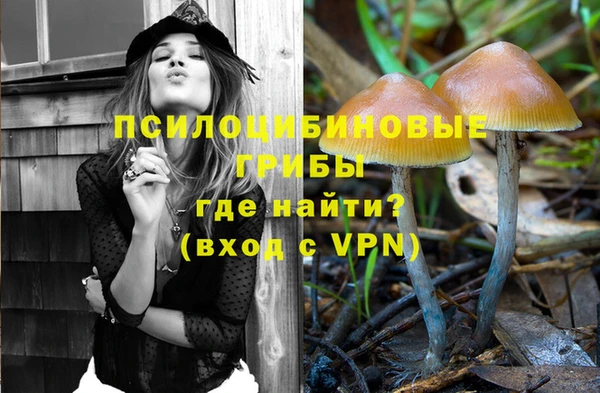 шишки Белоозёрский