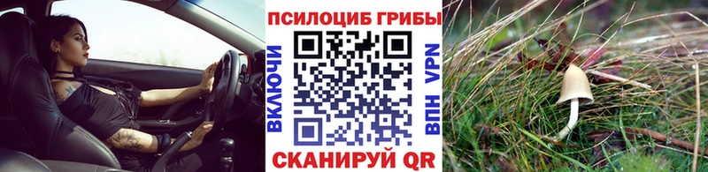 Галлюциногенные грибы Psilocybine cubensis  цены наркотик  Болгар 