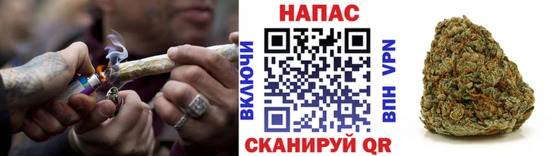 Канабис ГИДРОПОН Болгар